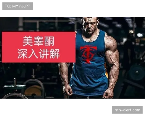 深入解析篮球加罚规则的判定与执行细则