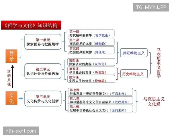 第四官员在裁判体系中的职责与换人判罚权限